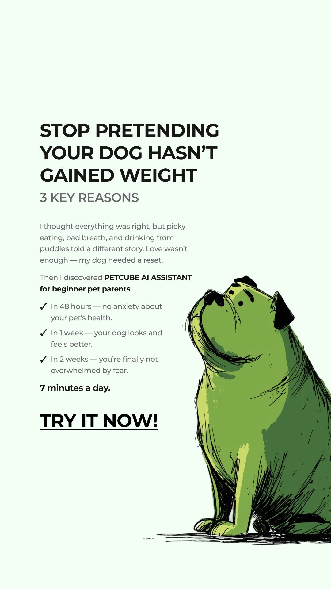 Petcube Facebook ad