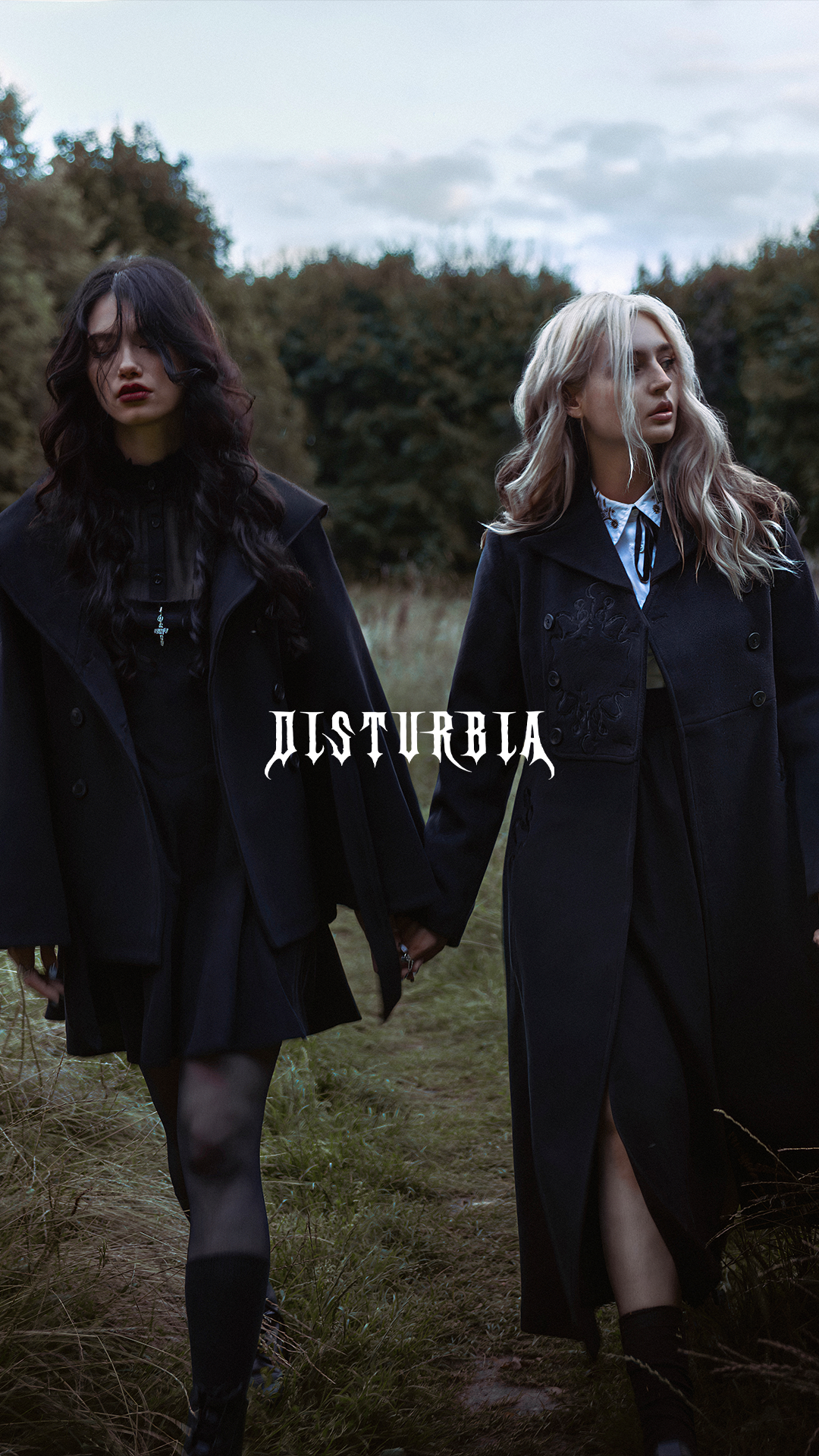 Disturbia Facebook ad