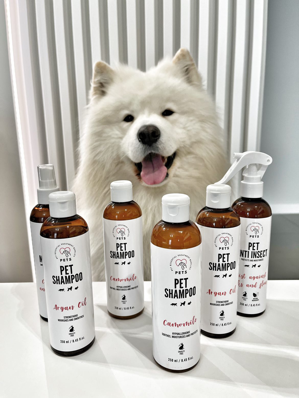 PETS Europe Facebook ad
