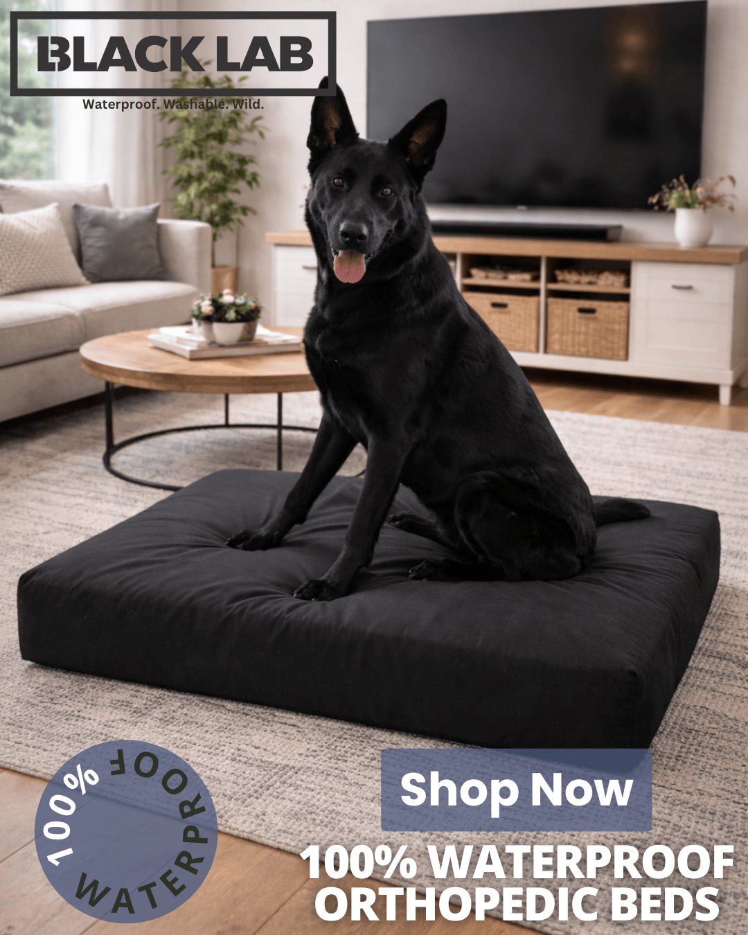 Black Lab Brands Facebook ad