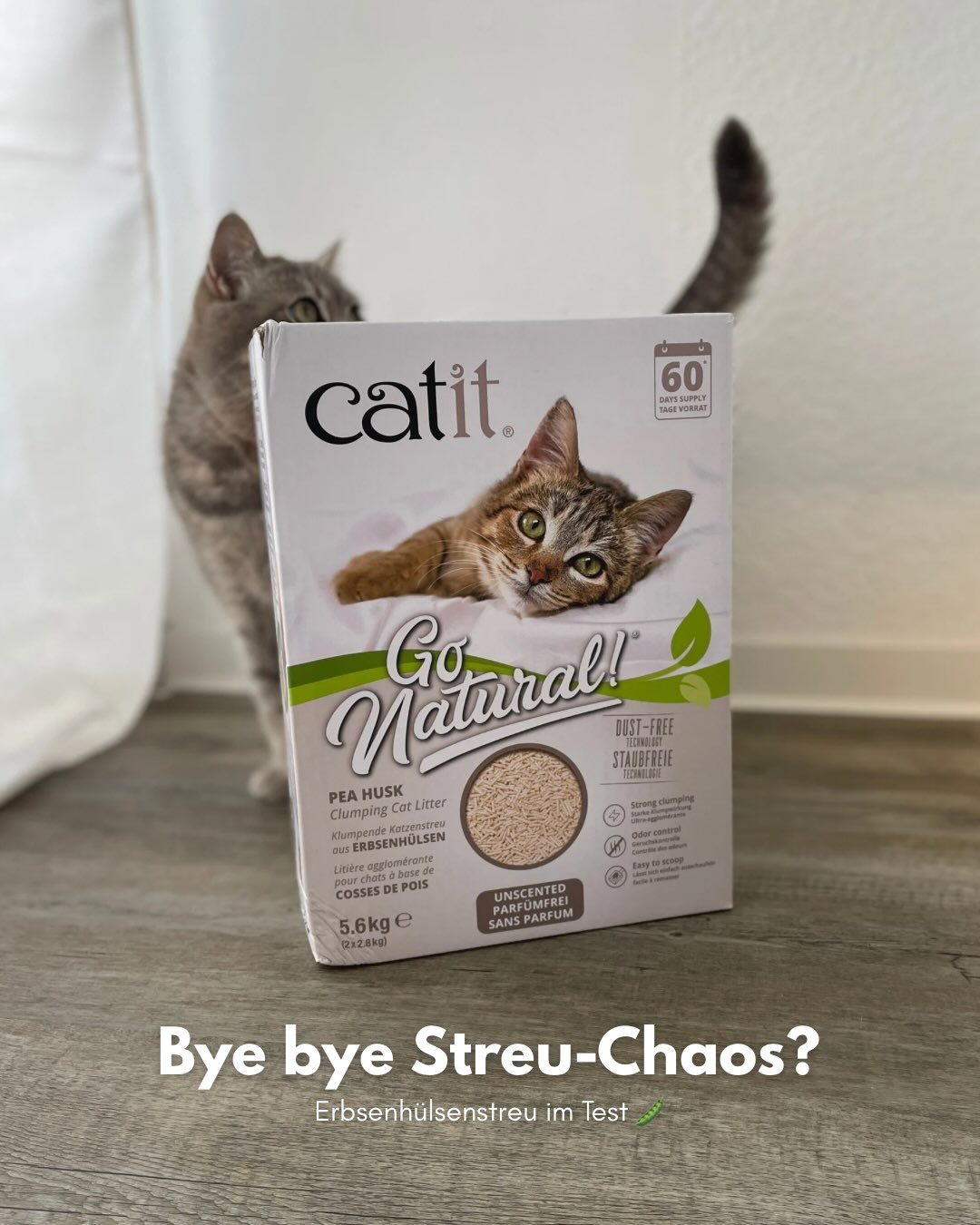bkhpaws Facebook ad: Anzeige | Bye bye Streu-Chaos?