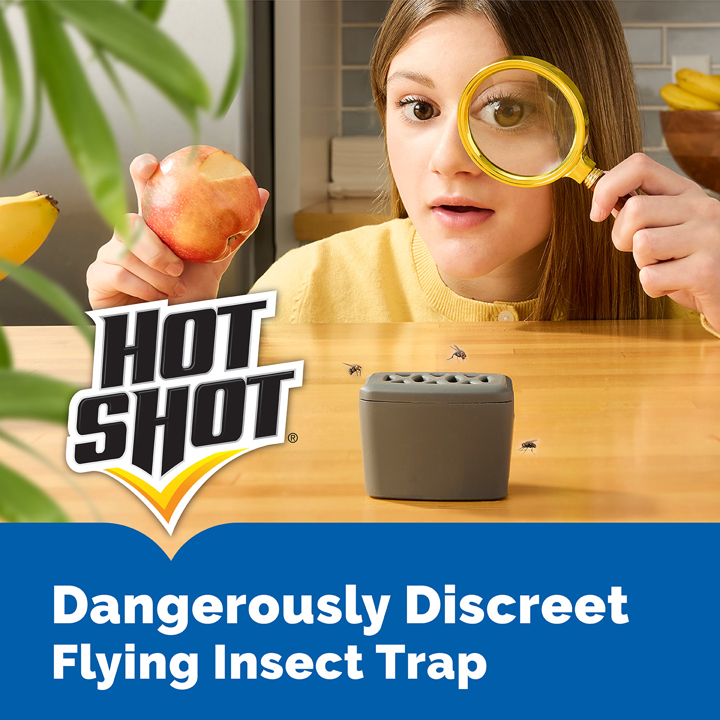 Hot Shot Insecticides Facebook ad