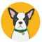 Dog Health