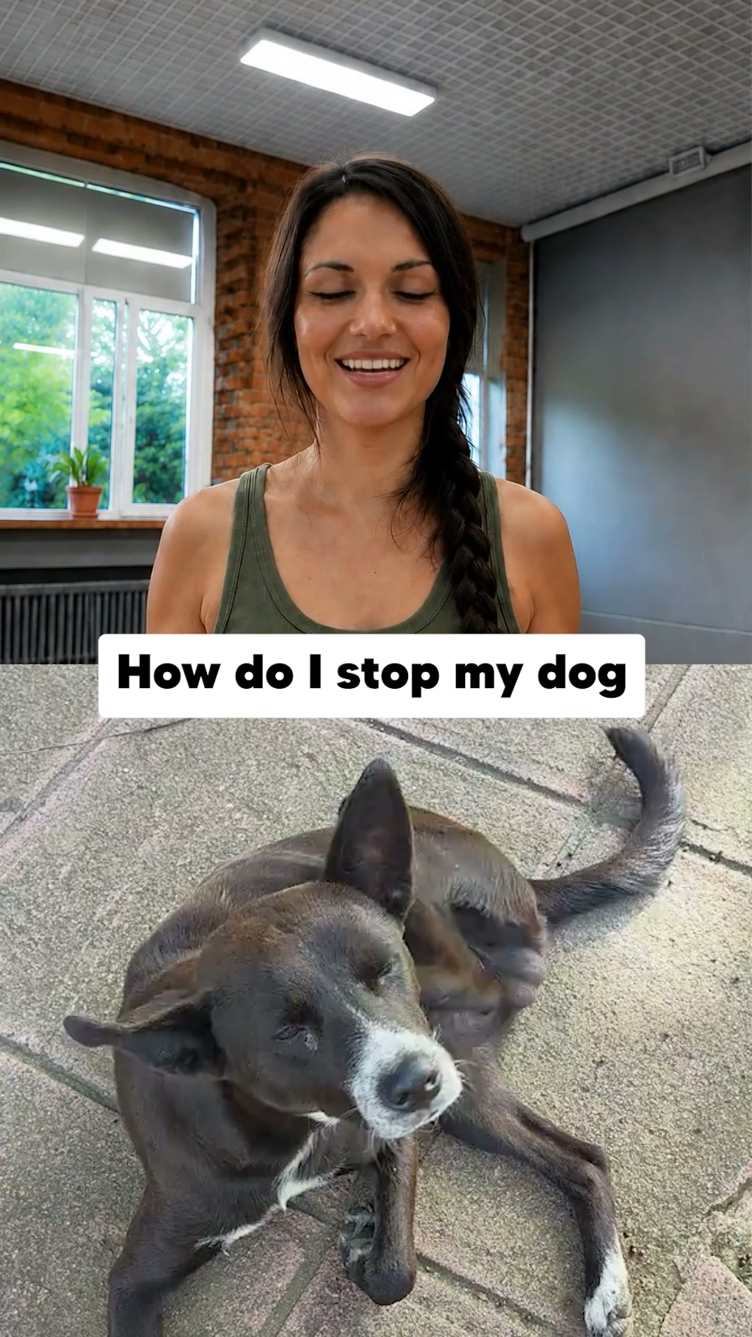 Proud Dog Parents Facebook ad: Stop The Scratching, BUY 2 GET 1 FREE
