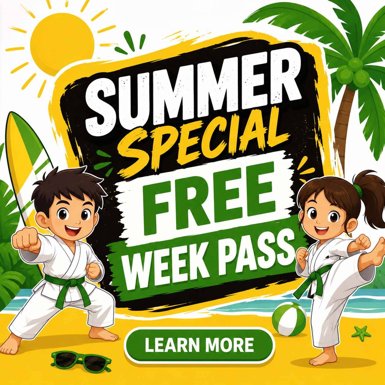 Premier Martial Arts Chambersburg Facebook ad
