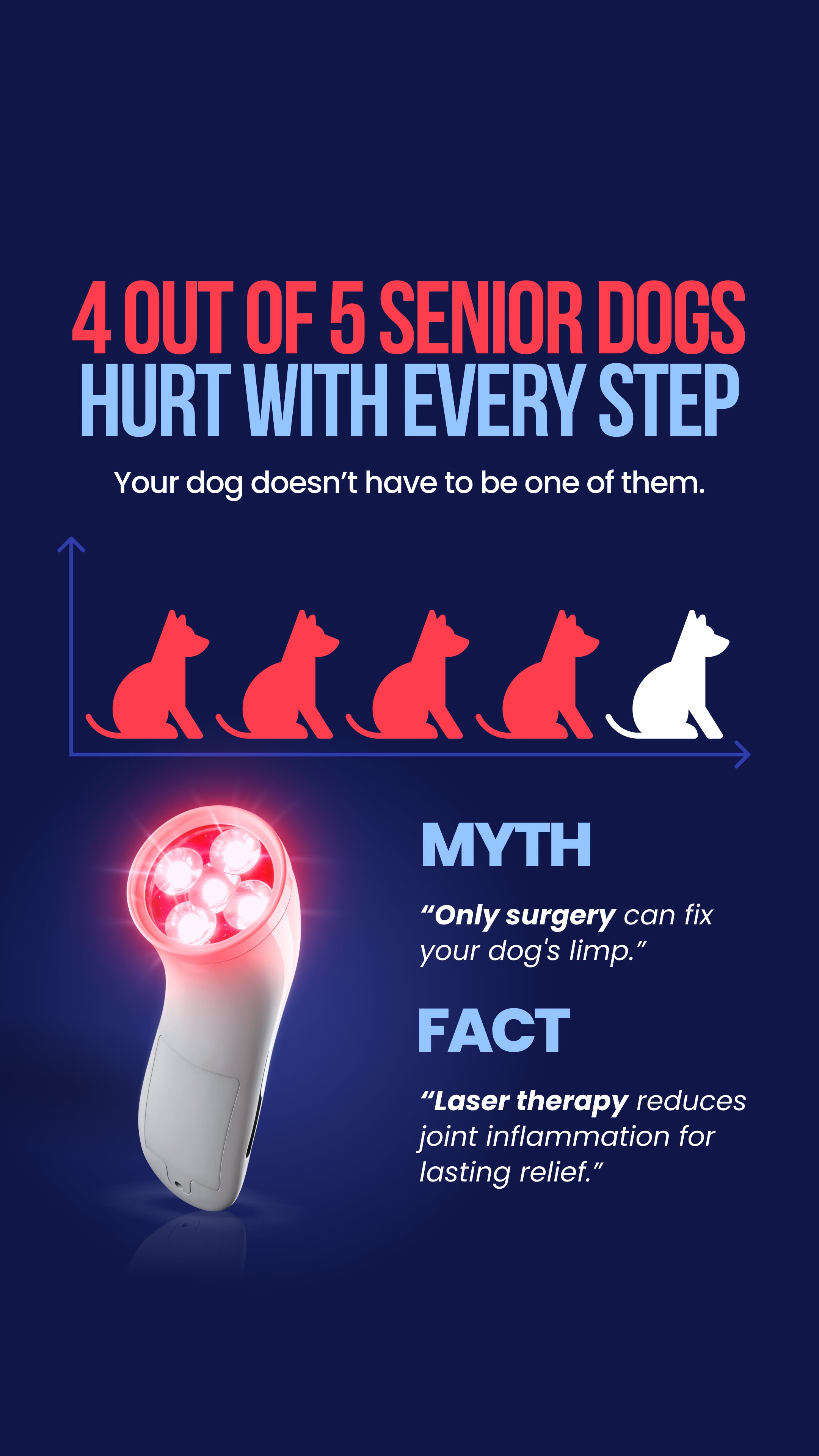 Helio Pet Facebook ad
