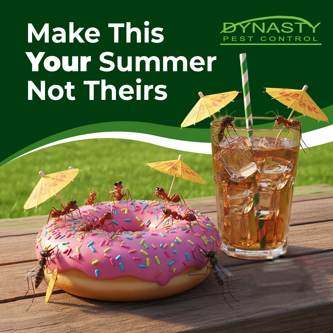 Dynasty Pest Control Facebook ad: 15% Off Yard Protection