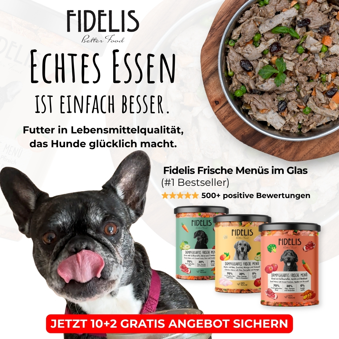 Fidelis.dog Facebook ad