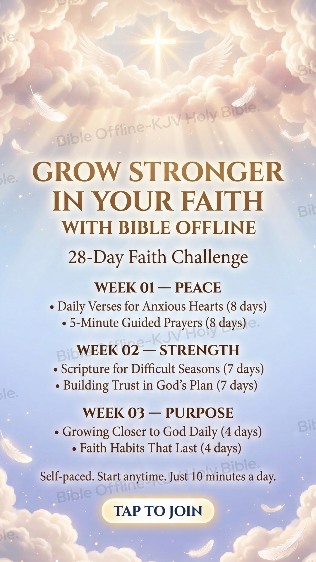 Bible Offline Facebook ad