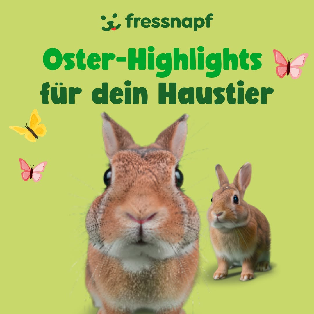 Fressnapf Deutschland Facebook ad