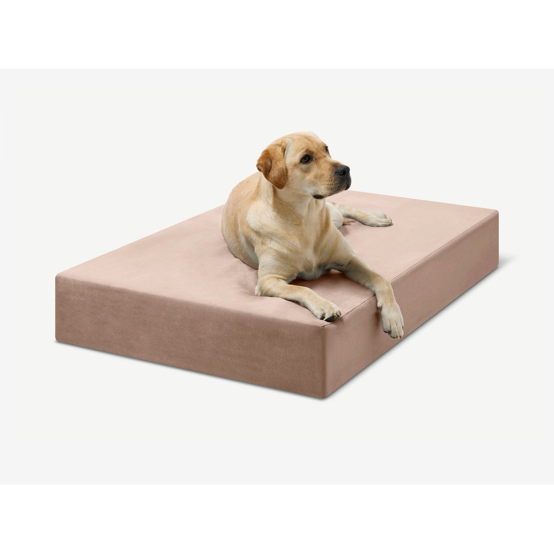 Barker Dog Beds Facebook ad