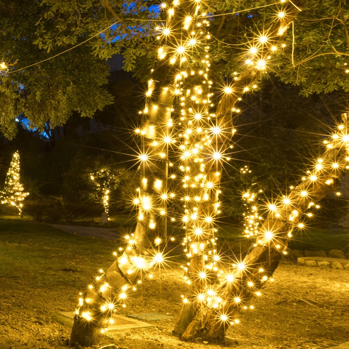 Christmas-Lights-Etc Facebook ad