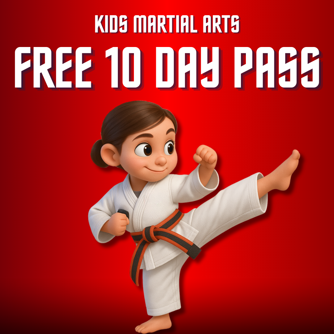 Northwest Indiana Martial Arts Academy Facebook ad: 10 FREE Days Of Kids Martial Arts Lessons