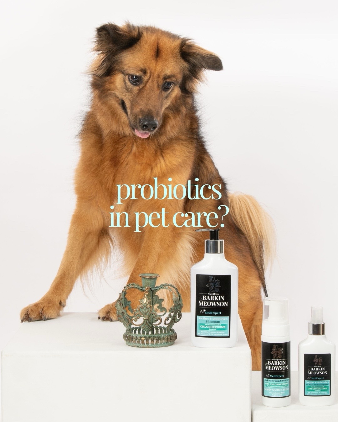 Barkin & Meowson Facebook ad: Probiotics for your pet’s skin matter more than…