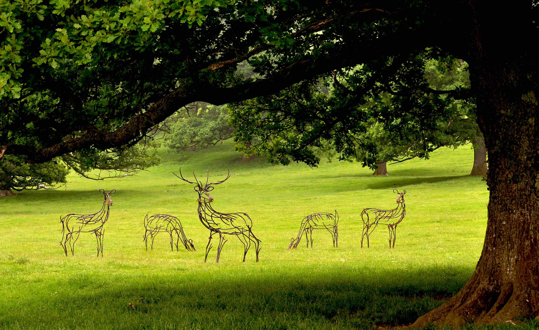 Andrew Kay Sculpture Facebook ad: Commission a bespoke wildlife sculpture for your landscape.