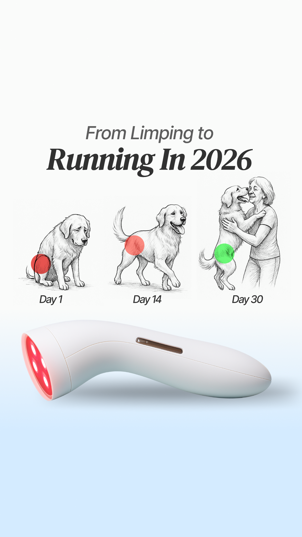 Helio Pet Facebook ad
