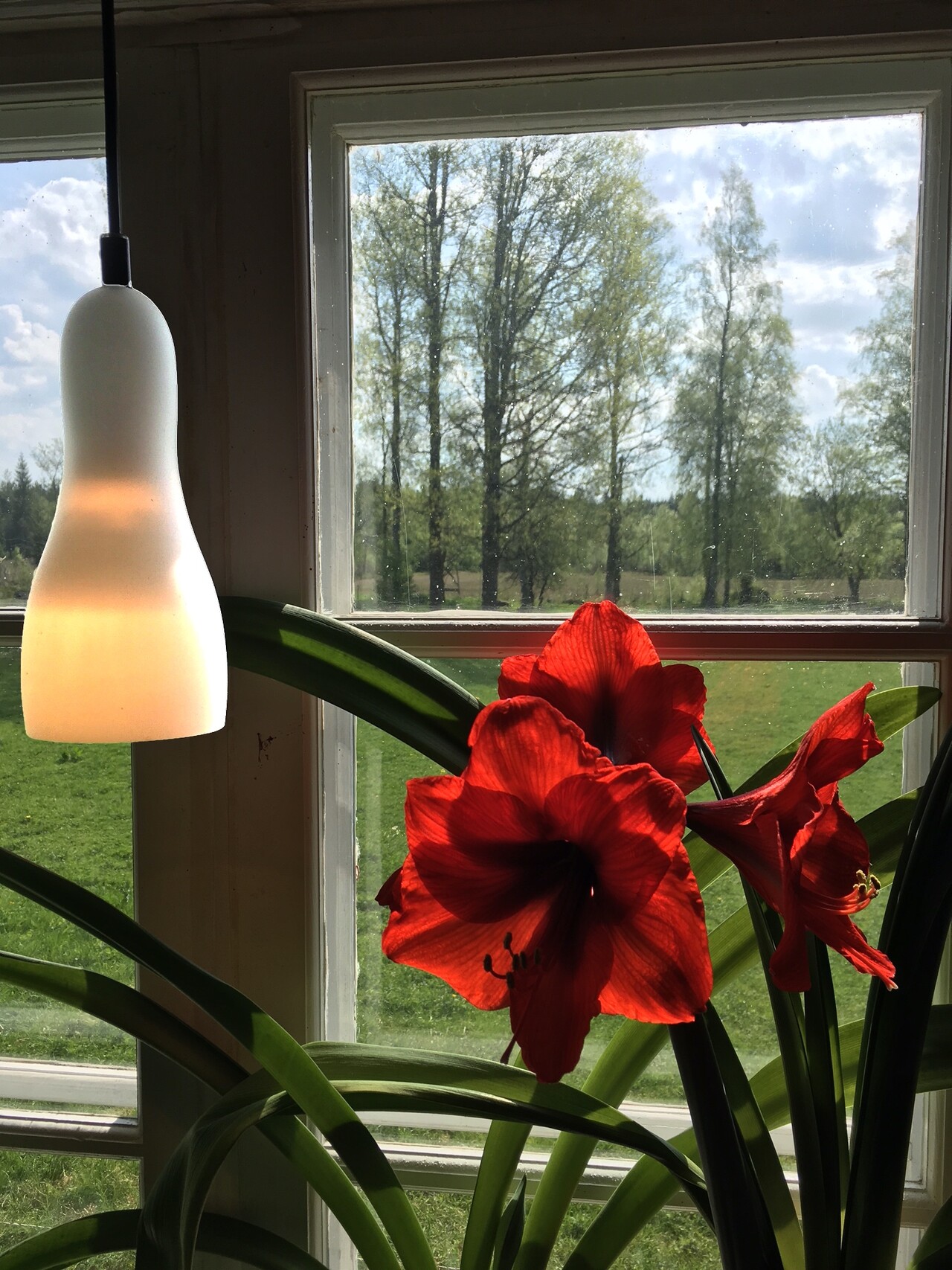 BswedenBelysningsbolagetab Facebook ad: Mindre lampor som Egg till påskfönstret!