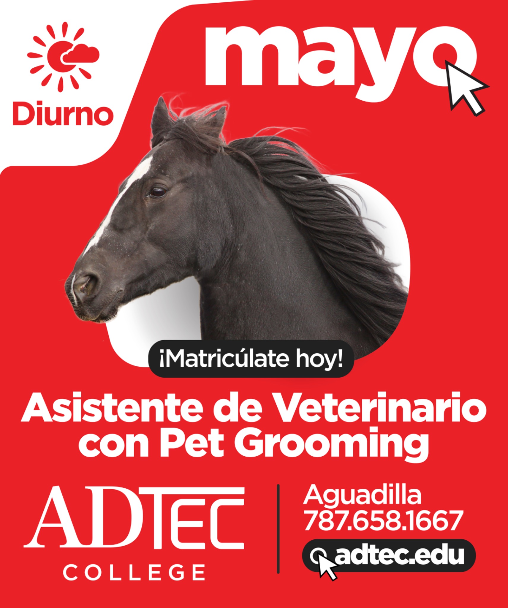 Adtec College Facebook ad