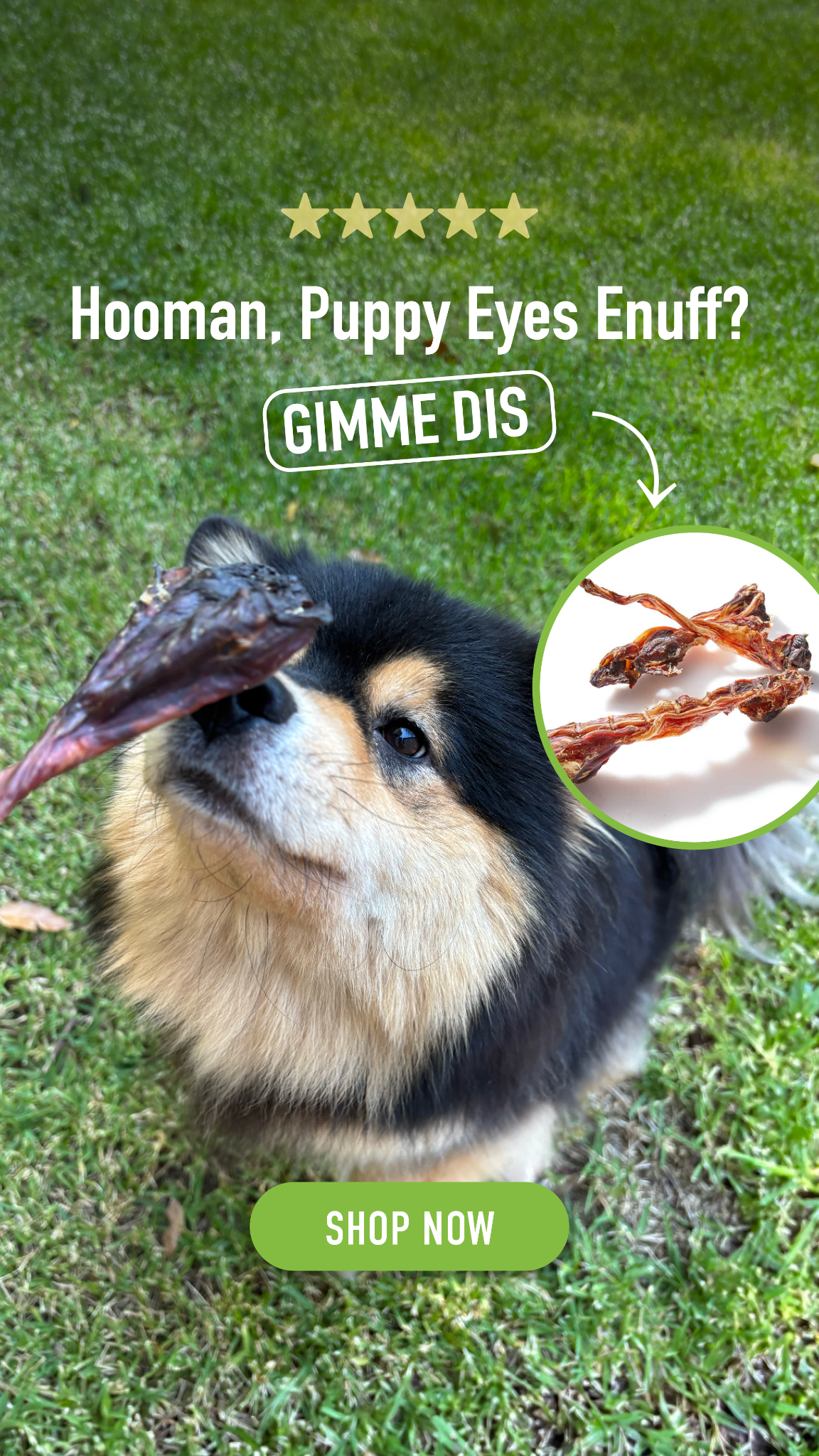 CLEAR Dog Treats Facebook ad