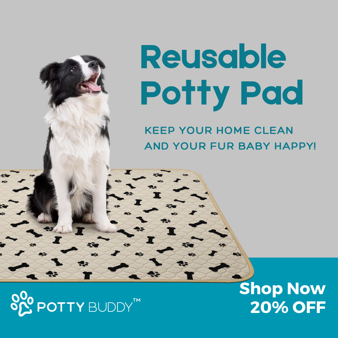 Potty Buddy Facebook ad