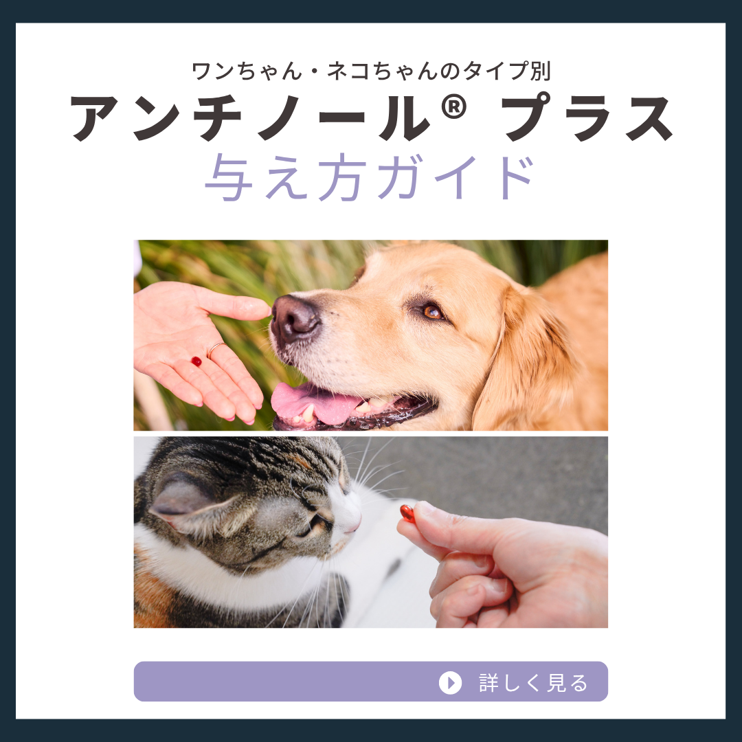 ベッツペッツ ・ アンチノール 犬猫の健康維持に役立つサプリメント Facebook ad