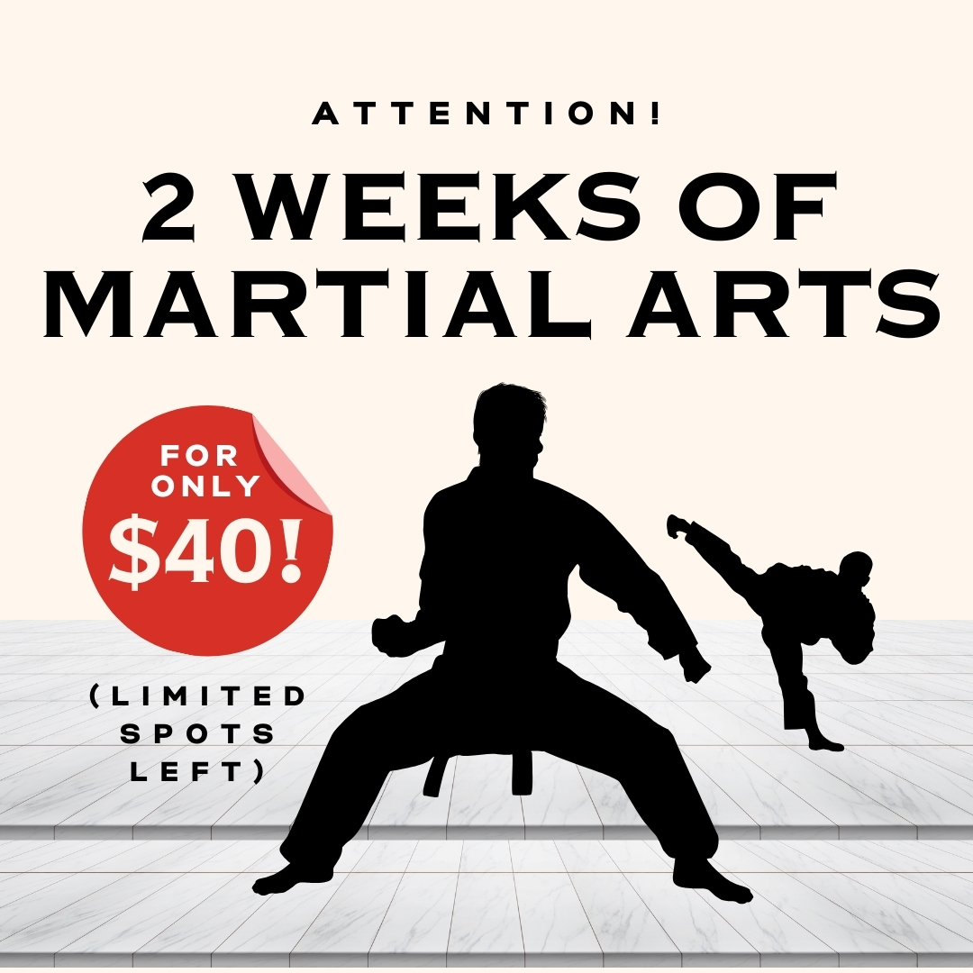 North Hills ATA Martial Arts Facebook ad
