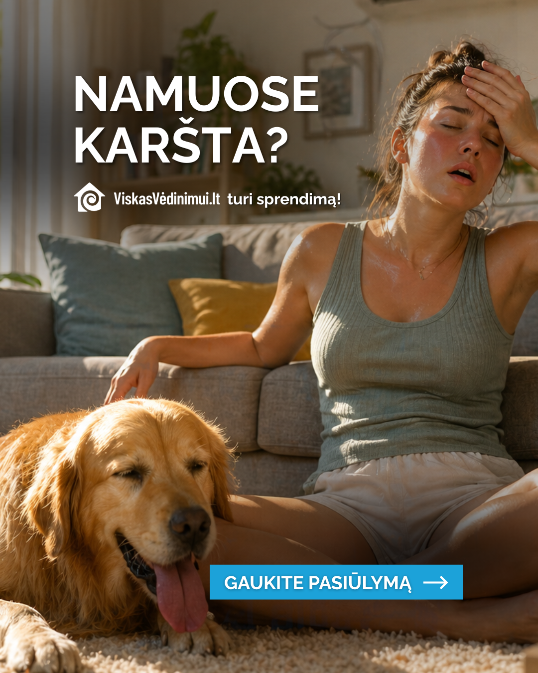 Viskas vėdinimui, šildymui, vėsinimui Facebook ad