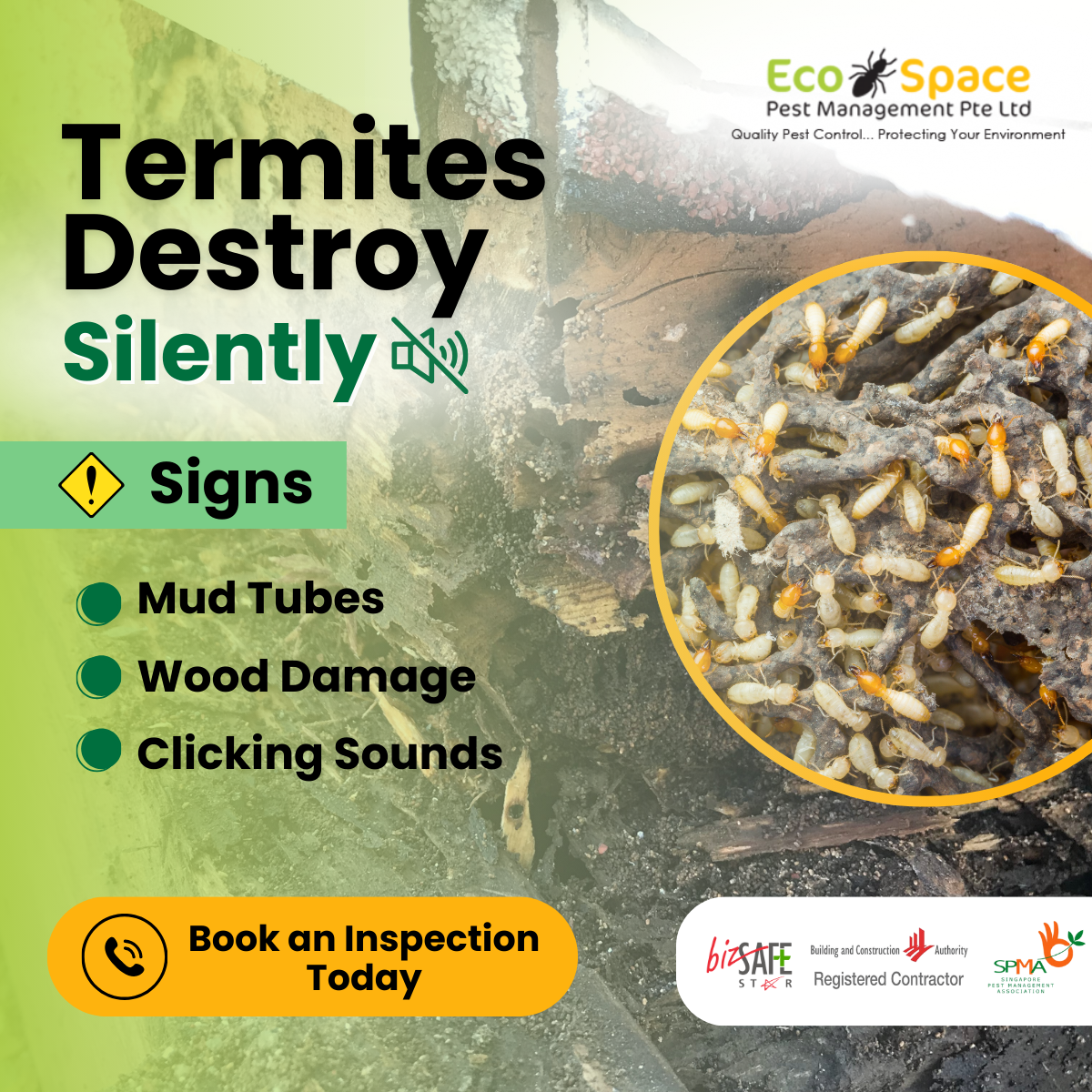 Ecospace Pest Management Pte Ltd Facebook ad