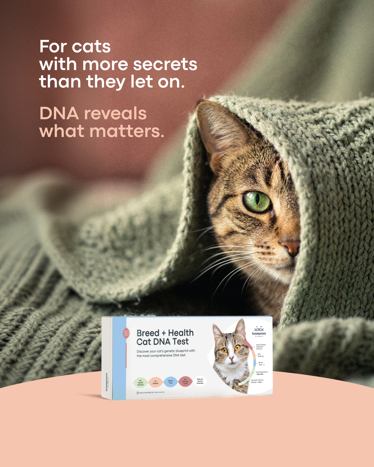 Basepaws Facebook ad from May 19, 2026