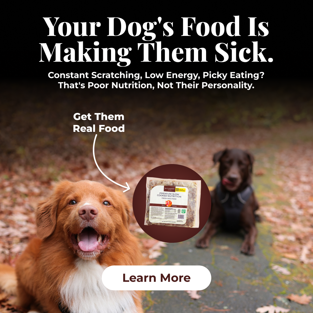 ButcherBox For Pets Facebook ad: Better Ingredients Dogs Love