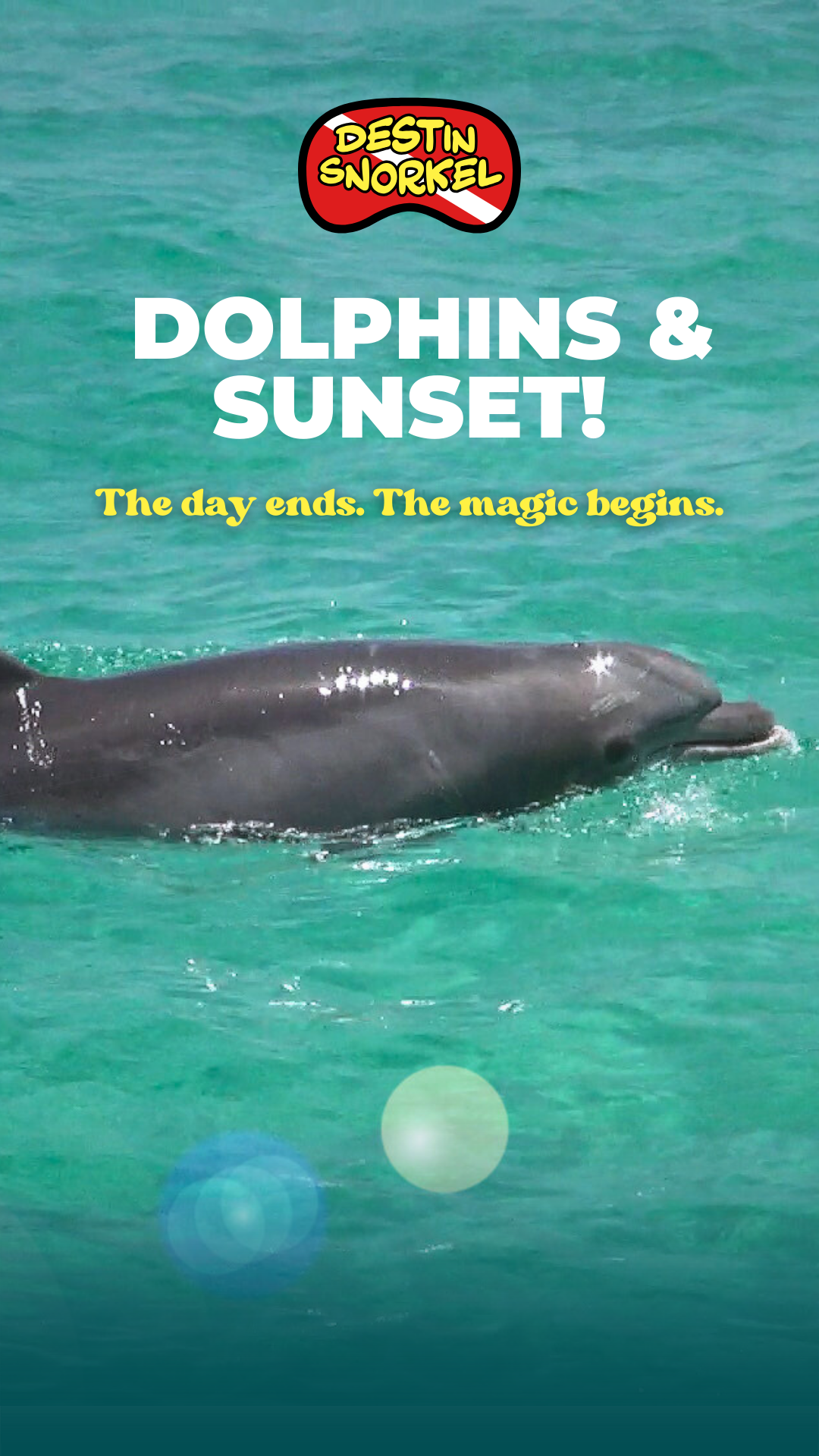 Destin Snorkel Facebook ad from Feb 19, 2026