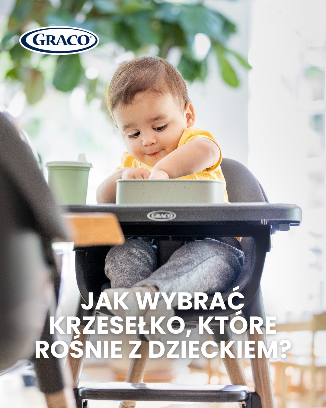 Graco Children's Products Facebook ad