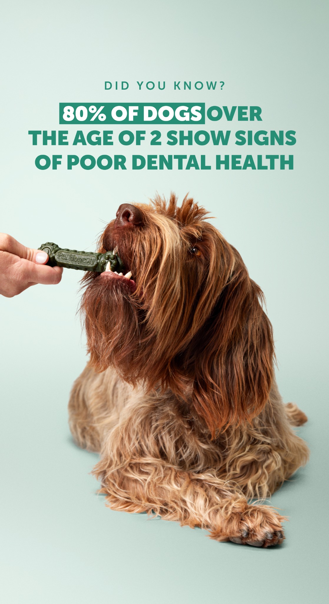 Pet Honesty Facebook ad