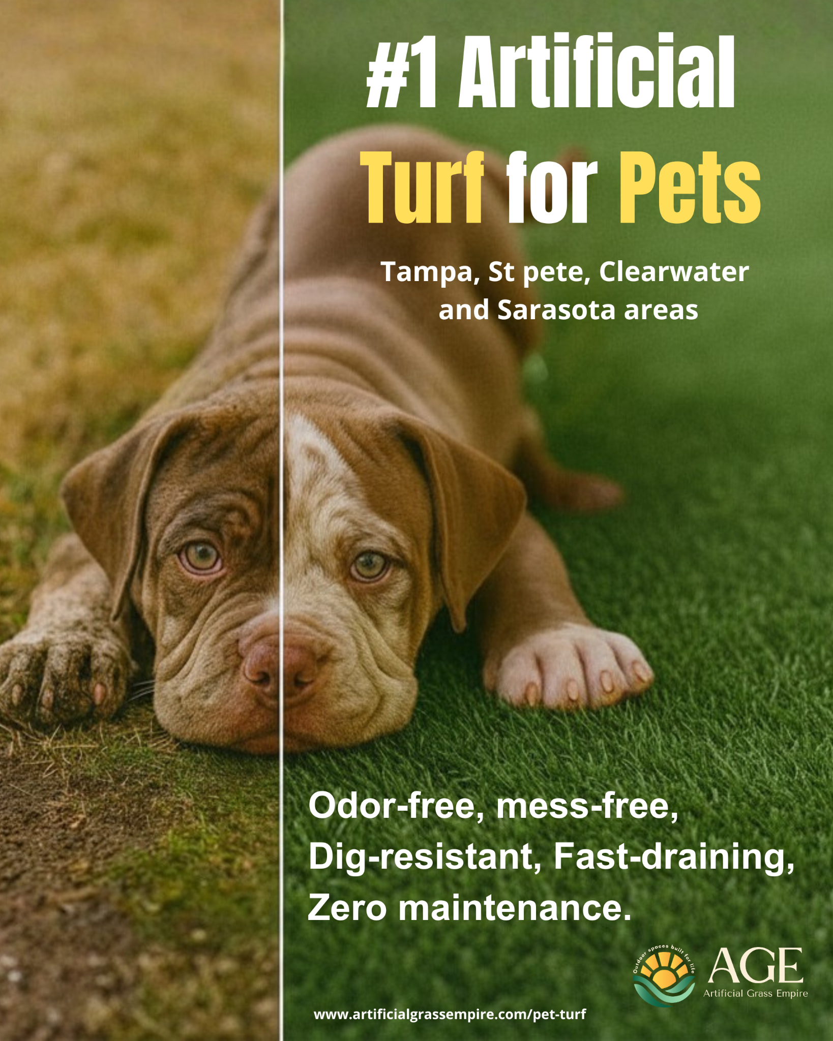 Artificial Grass Empire Facebook ad: Pet Turf Artificial Grass Empire Tampa