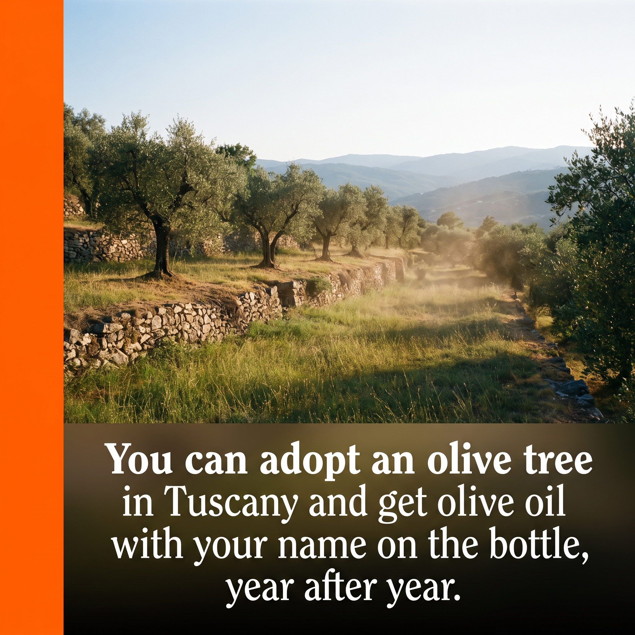 Oliverse Facebook ad: Adopt a Tree. Taste La Dolce Vita.