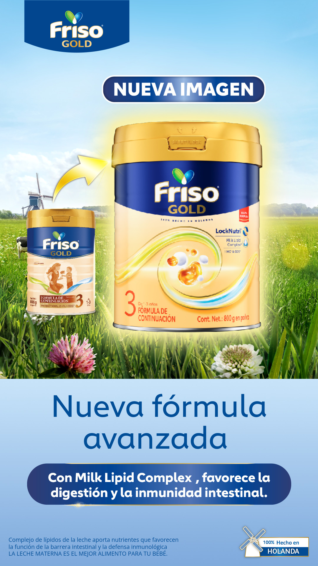 Friso México Facebook ad