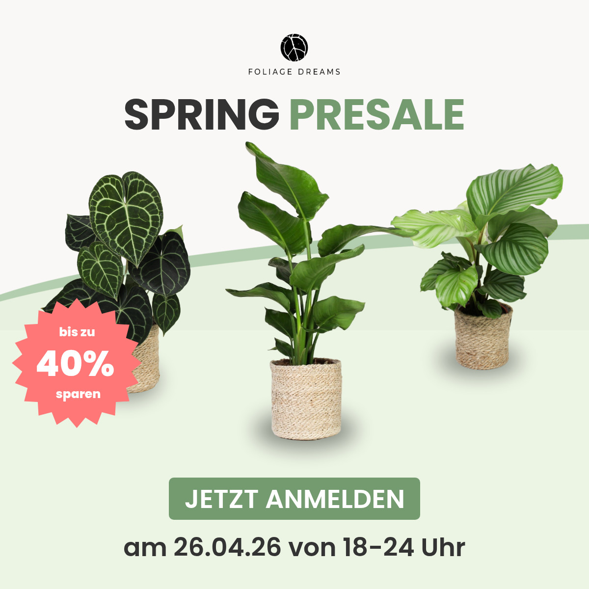 Foliage Dreams Facebook ad