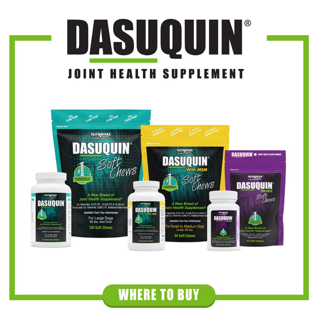 Dasuquin Facebook ad