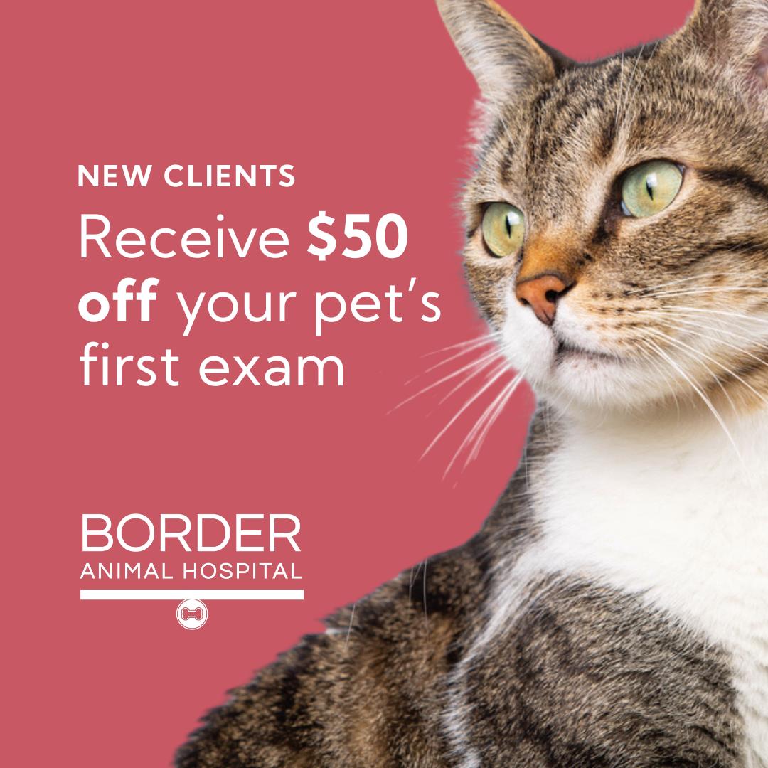 Border Animal Hospital Facebook ad