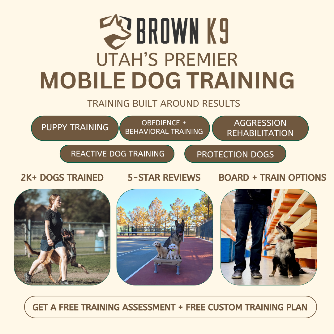 Brown K9 Facebook ad from Mar 5, 2026