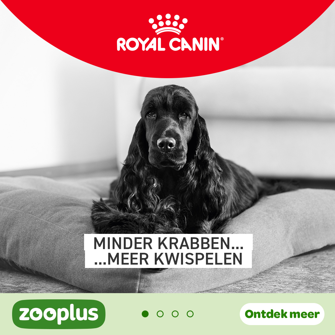 zooplus Facebook ad