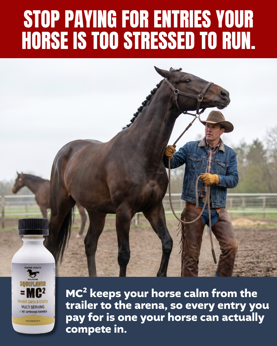 Equine Health Solutions Facebook ad