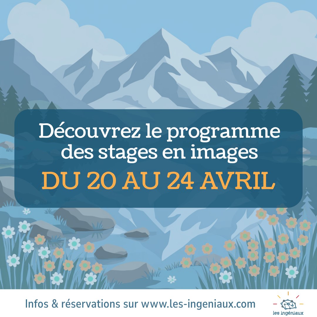 Les Ingéniaux Facebook ad