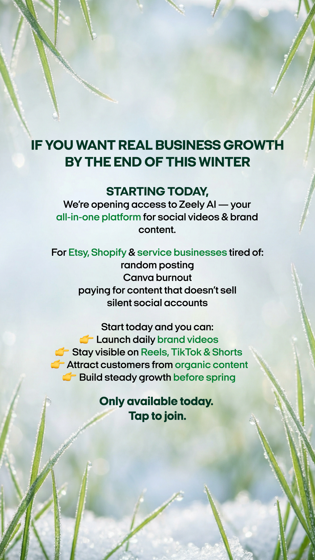 Zeely Facebook ad
