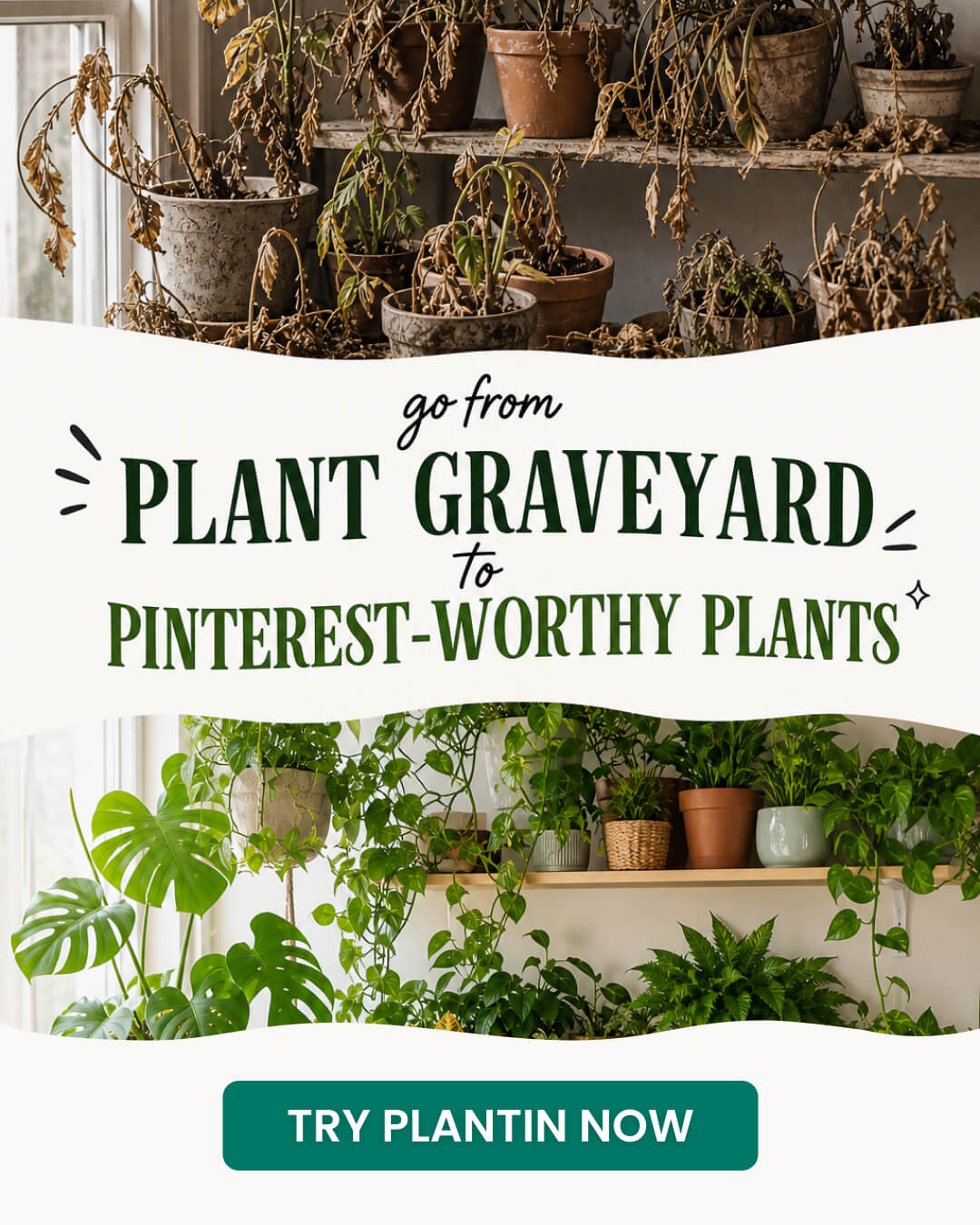PlantIn AI: Never Kill Your Plants Facebook ad: Become a Plant Pro easily with PlantIn!