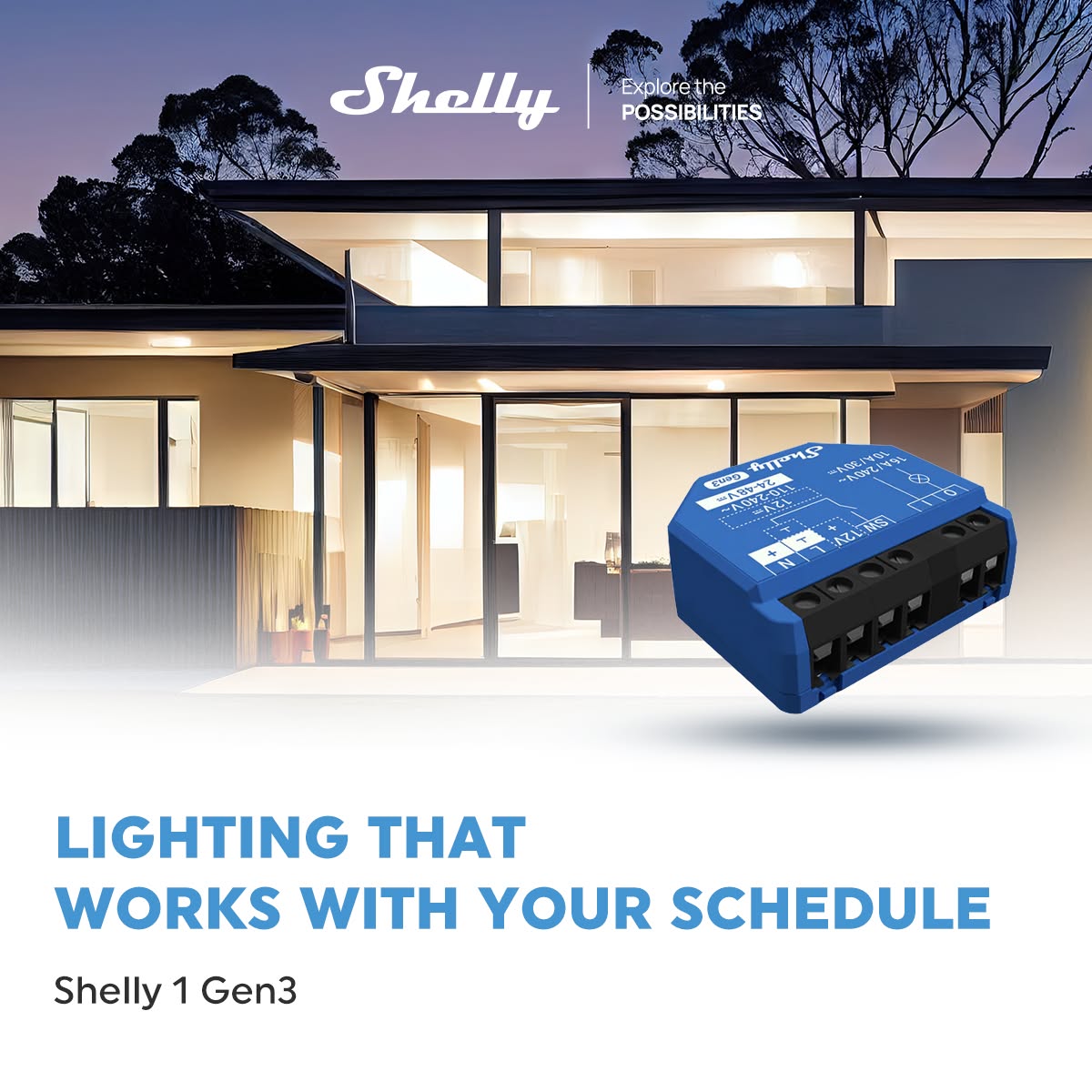 Shelly USA Facebook ad