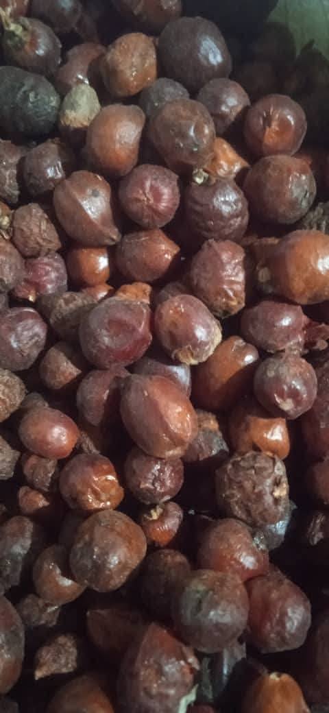 Benab products Facebook ad: ثمار الدوم أو البلميط المنشاري الطلب و التواصل…