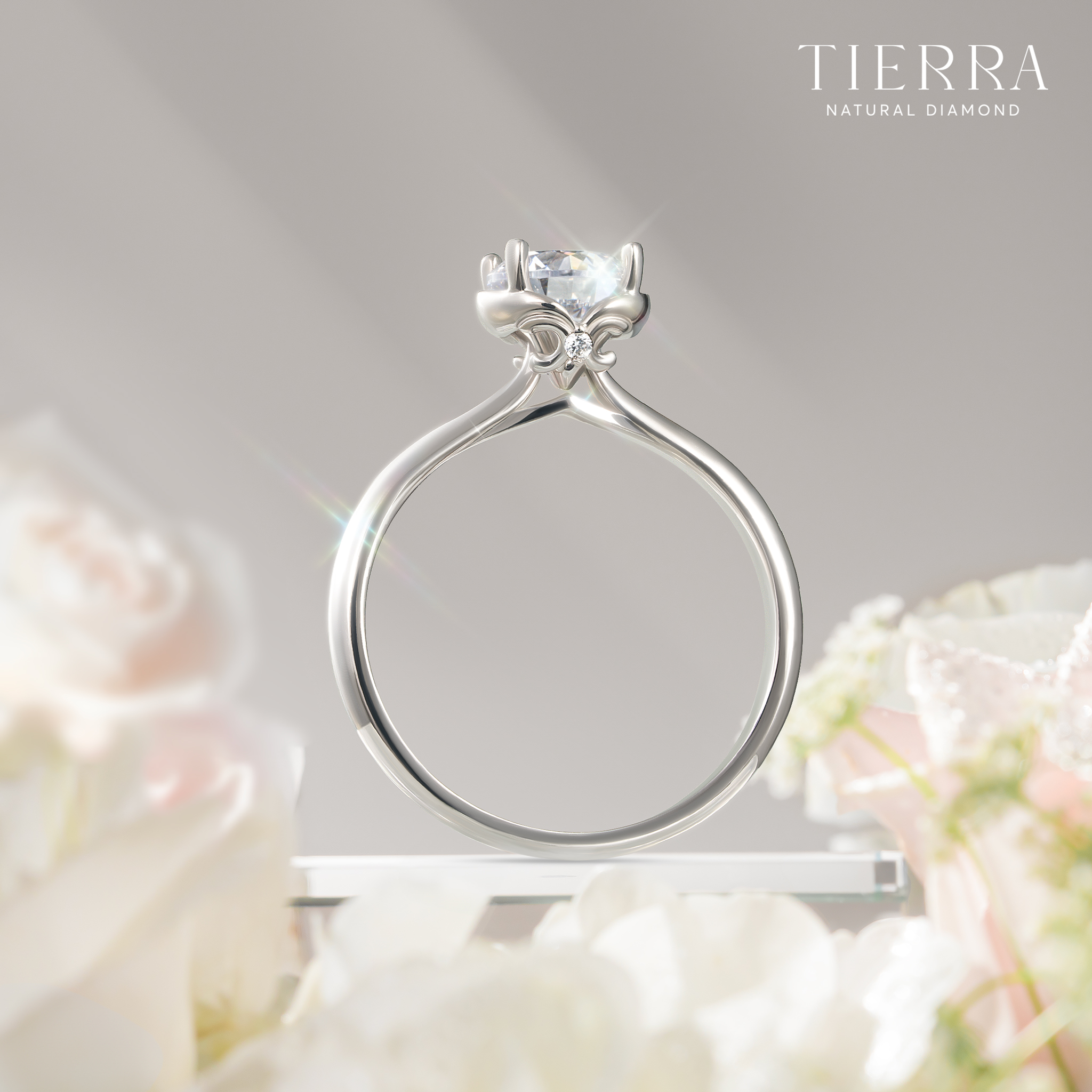 Tierra Diamond Jewelry Facebook ad