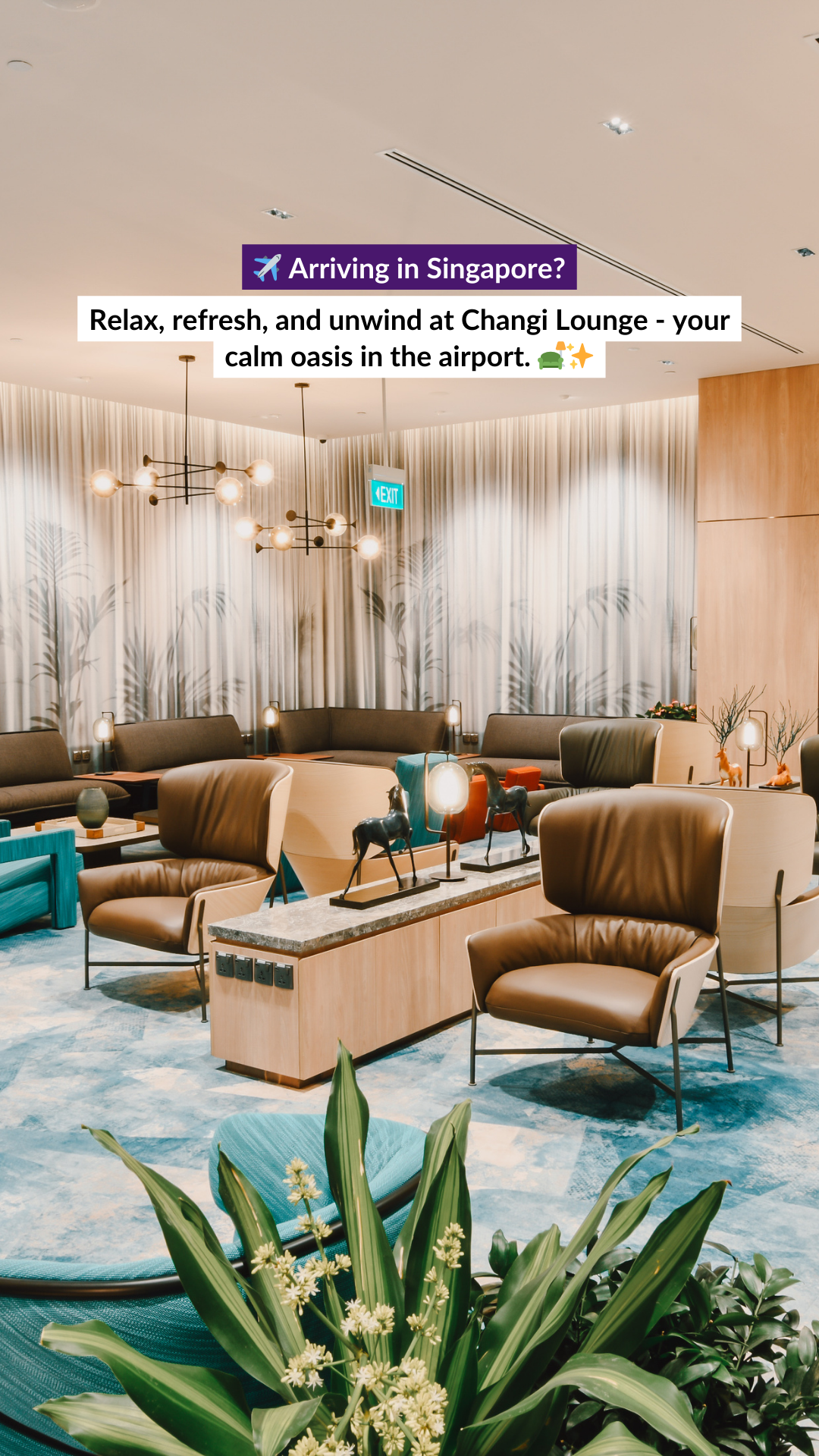 Changi Airport Facebook ad