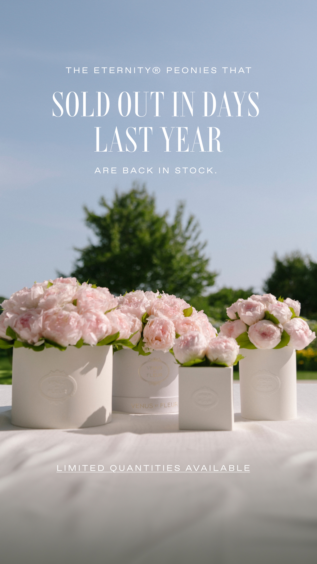 Venus et Fleur Facebook ad: Shop Eternity Peonies
